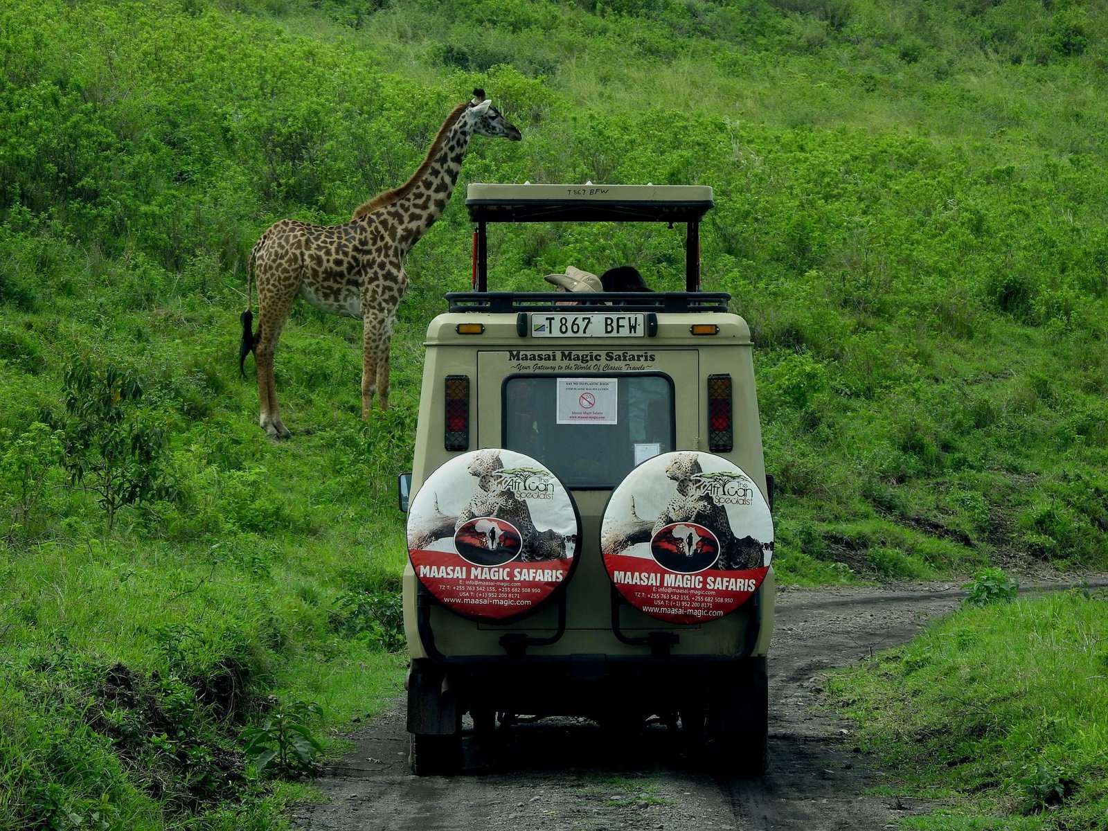 Tanzania Family Safari