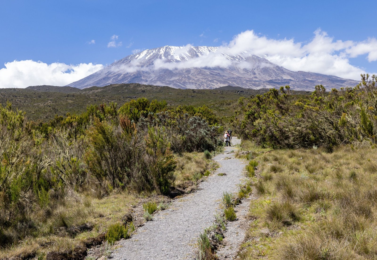 Kilimanjaro climbs